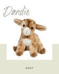 Dandie Goat