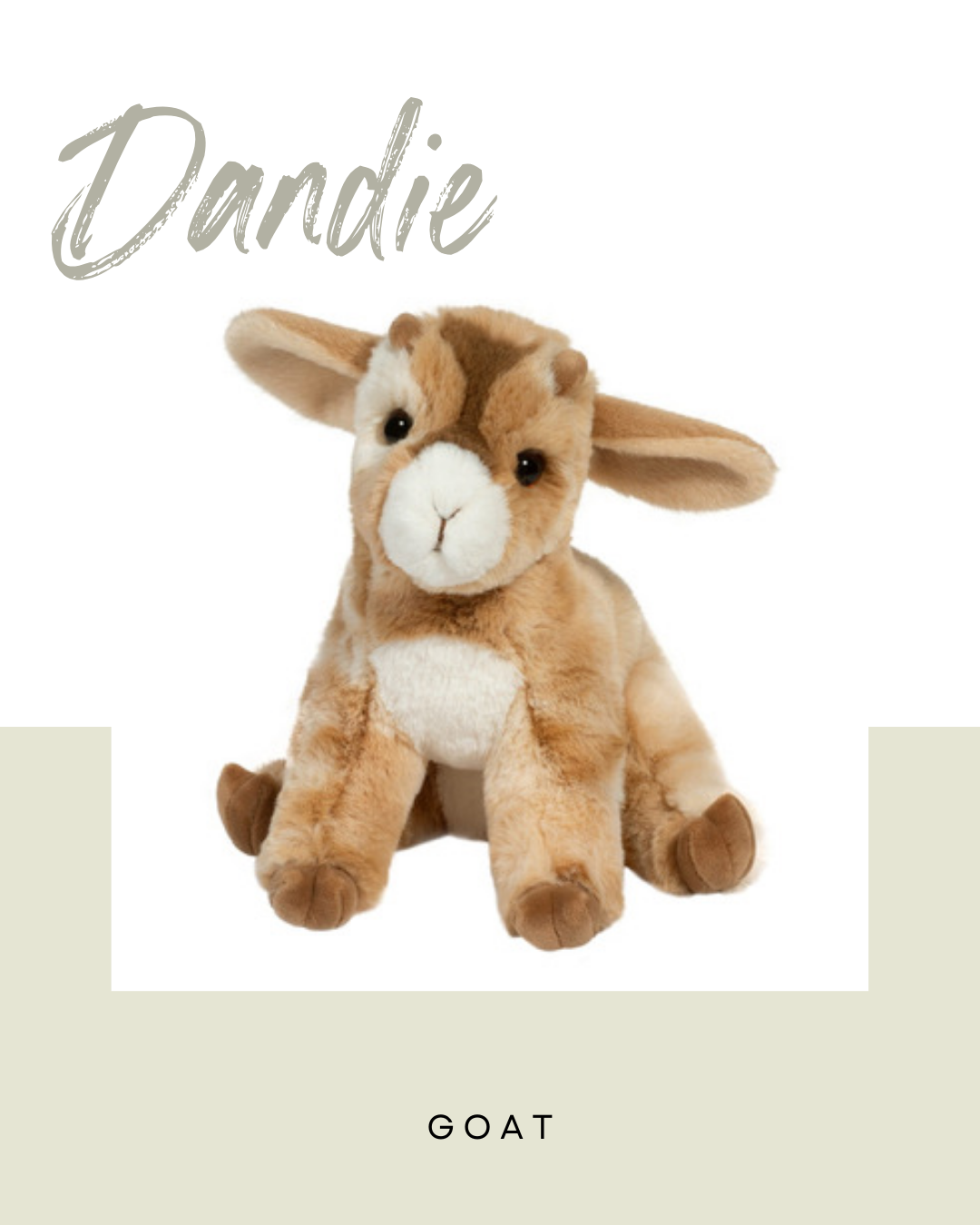 Dandie Goat